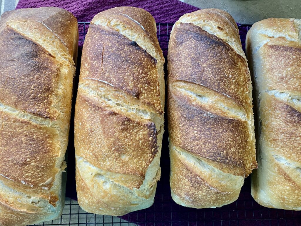 4 loaves of freshly baked sourdough bread