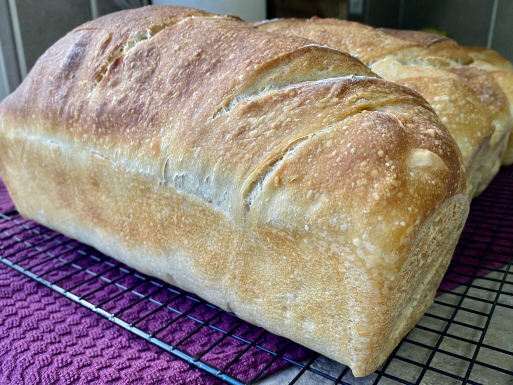 freshly baked sourdough bread sitting on a cooling rack
