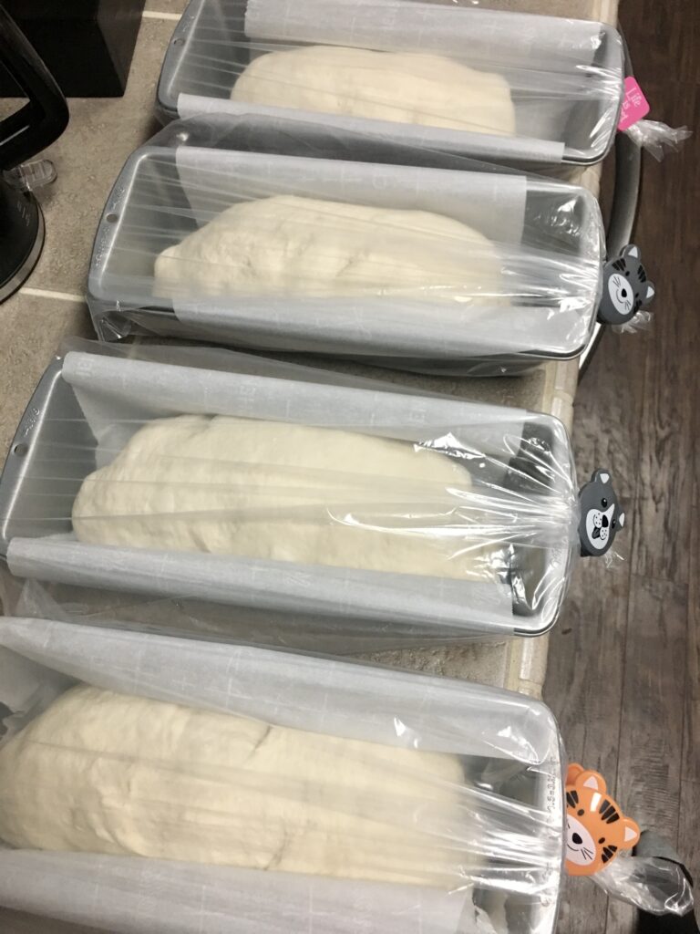 4 loaves of sourdough bread wrapped in bread bags for the night