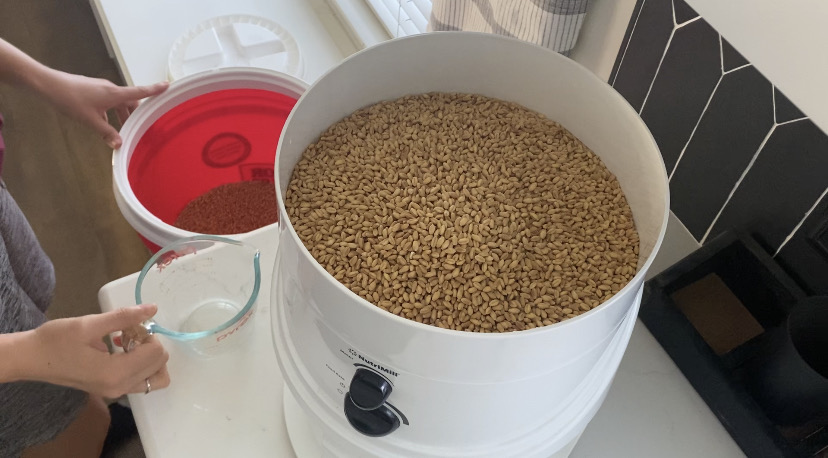 hard white wheat berries in a nutrimill